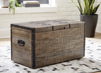 Dartland Storage Trunk