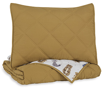 Cooperlen Twin Quilt Set