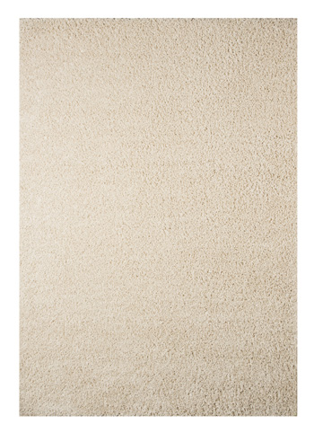 Caci 5' x 7' Rug