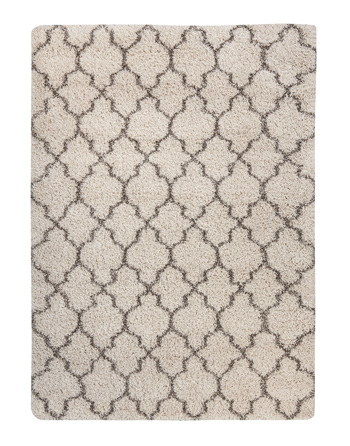 Gate 7'10" x 10'10" Rug